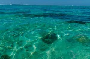 fond de l'eau pres de l'ile aux cerfs