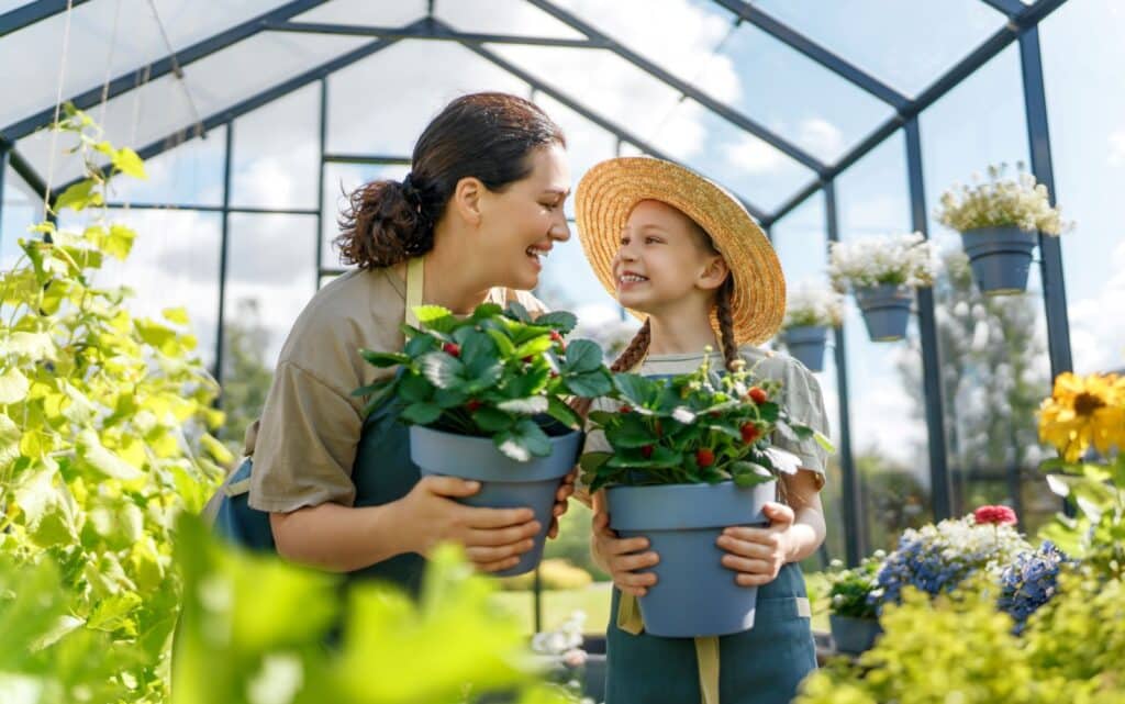 Comment faire repartir ses plantes après ses vacances pour ne pas qu’elles meurent?